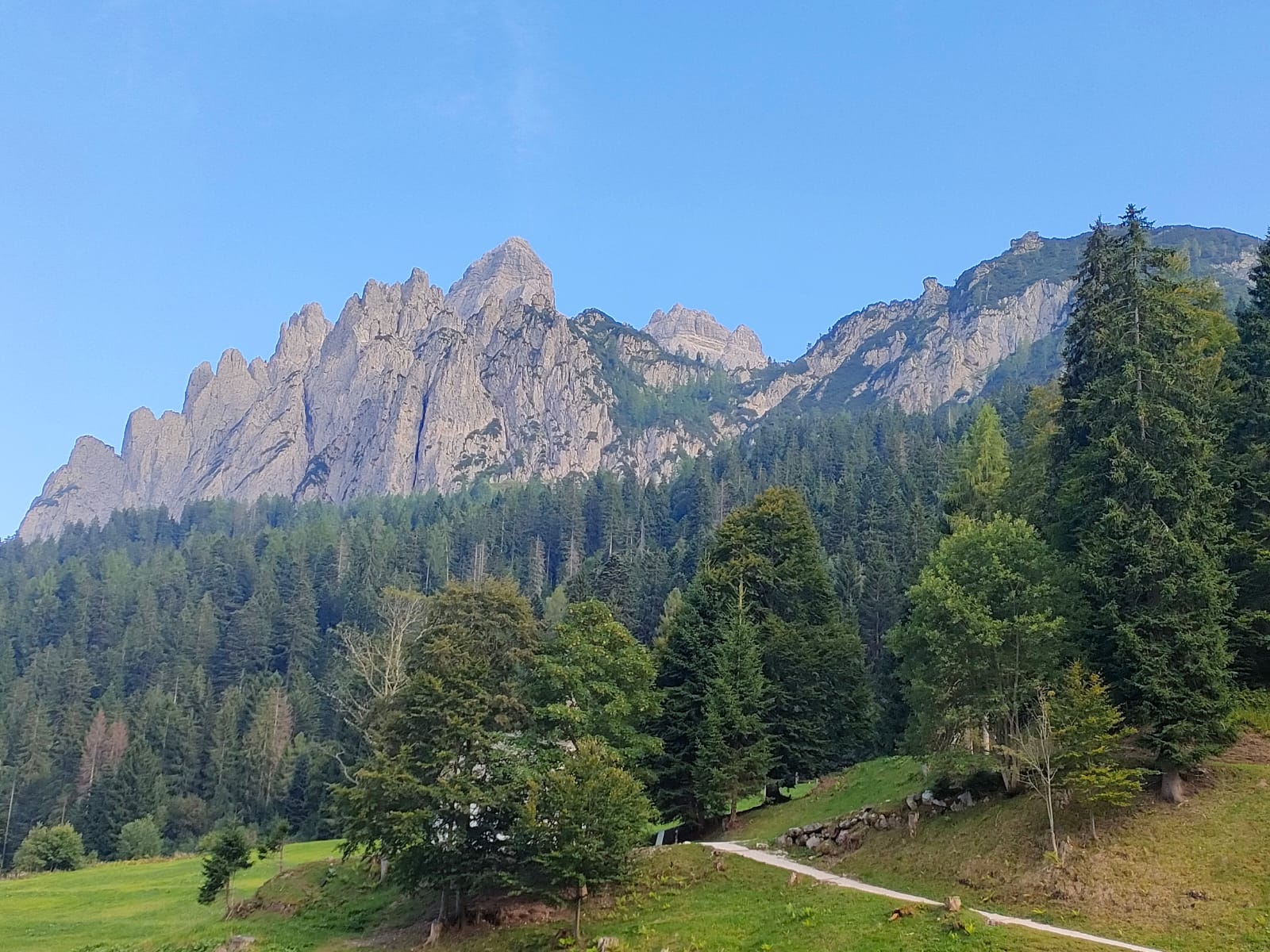 Colonia Feltrina Passo Cereda 2